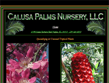 Tablet Screenshot of calusapalmsnursery.com
